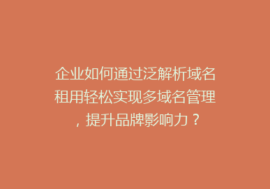 企业如何通过泛解析域名租用轻松实现多域名管理，提升品牌影响力？