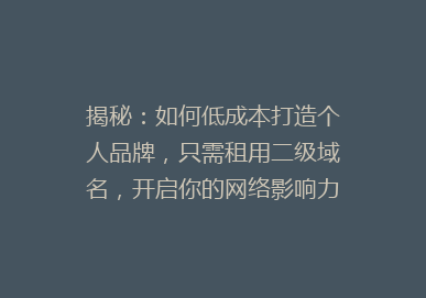 揭秘：如何低成本打造个人品牌，只需租用二级域名，开启你的网络影响力之旅！