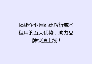 揭秘企业网站泛解析域名租用的五大优势，助力品牌快速上线！