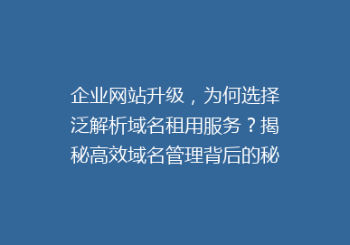 企业网站升级，为何选择泛解析域名租用服务？揭秘高效域名管理背后的秘密！