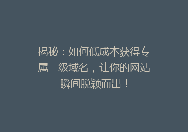 揭秘：如何低成本获得专属二级域名，让你的网站瞬间脱颖而出！