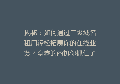 揭秘：如何通过二级域名租用轻松拓展你的在线业务？隐藏的商机你抓住了吗？