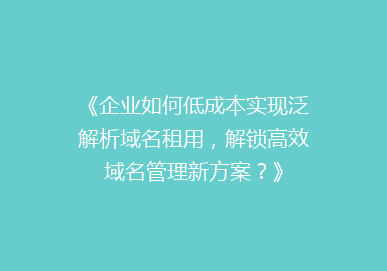《企业如何低成本实现泛解析域名租用，解锁高效域名管理新方案？》