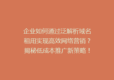 企业如何通过泛解析域名租用实现高效网络营销？揭秘低成本推广新策略！