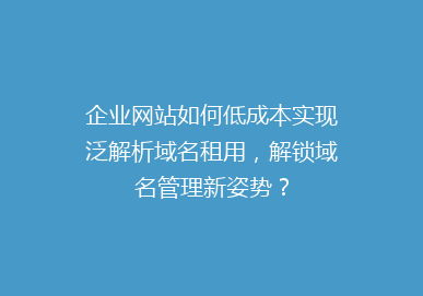 企业网站如何低成本实现泛解析域名租用，解锁域名管理新姿势？