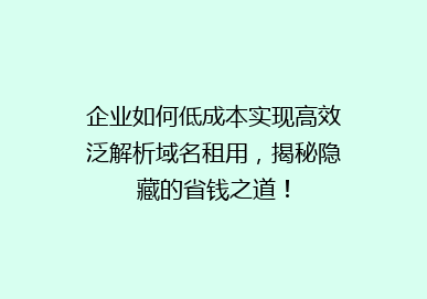 企业如何低成本实现高效泛解析域名租用，揭秘隐藏的省钱之道！