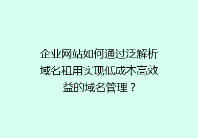 企业网站如何通过泛解析域名租用实现低成本高效益的域名管理？