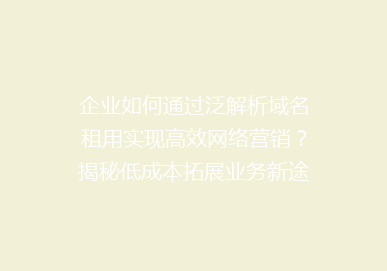 企业如何通过泛解析域名租用实现高效网络营销？揭秘低成本拓展业务新途径！