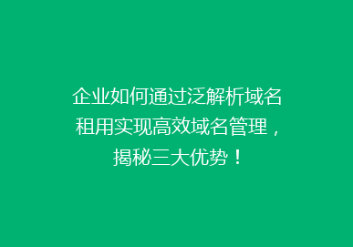 企业如何通过泛解析域名租用实现高效域名管理，揭秘三大优势！