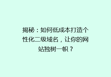 揭秘：如何低成本打造个性化二级域名，让你的网站独树一帜？