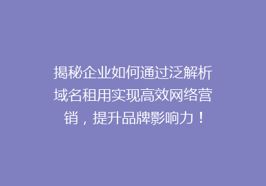 揭秘企业如何通过泛解析域名租用实现高效网络营销，提升品牌影响力！