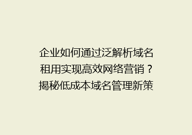 企业如何通过泛解析域名租用实现高效网络营销？揭秘低成本域名管理新策略！