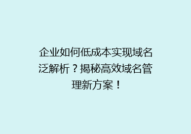 企业如何低成本实现域名泛解析？揭秘高效域名管理新方案！