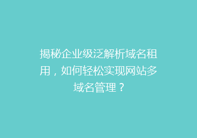 揭秘企业级泛解析域名租用，如何轻松实现网站多域名管理？
