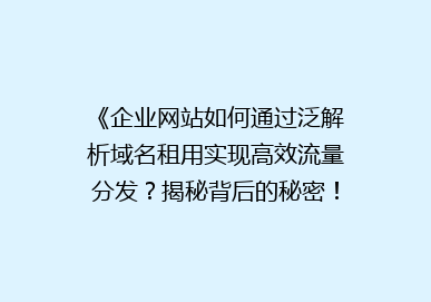 《企业网站如何通过泛解析域名租用实现高效流量分发？揭秘背后的秘密！》