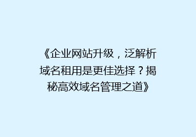 《企业网站升级，泛解析域名租用是更佳选择？揭秘高效域名管理之道》