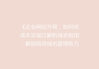 《企业网站升级，如何低成本实现泛解析域名租用，解锁高效域名管理新方案？》