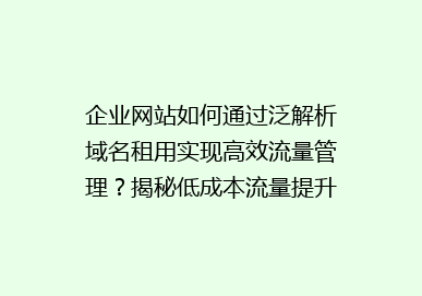 企业网站如何通过泛解析域名租用实现高效流量管理？揭秘低成本流量提升秘诀！