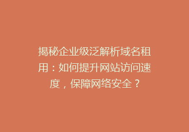揭秘企业级泛解析域名租用：如何提升网站访问速度，保障网络安全？