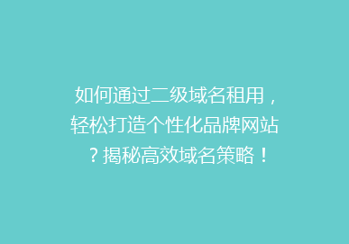 如何通过二级域名租用，轻松打造个性化品牌网站？揭秘高效域名策略！