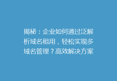 揭秘：企业如何通过泛解析域名租用，轻松实现多域名管理？高效解决方案大公开！