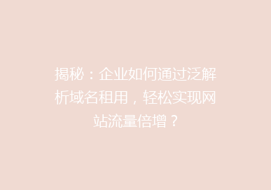 揭秘：企业如何通过泛解析域名租用，轻松实现网站流量倍增？