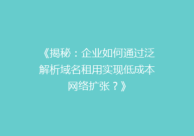 《揭秘：企业如何通过泛解析域名租用实现低成本网络扩张？》