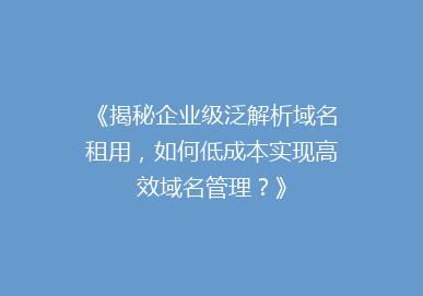 《揭秘企业级泛解析域名租用，如何低成本实现高效域名管理？》