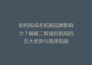 如何低成本拓展品牌影响力？揭秘二级域名租用的五大优势与选择指南