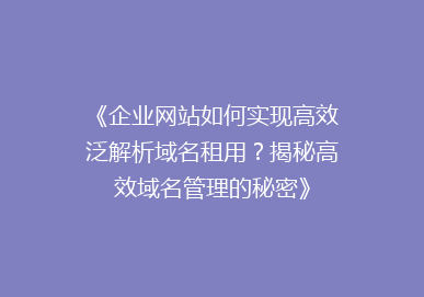 《企业网站如何实现高效泛解析域名租用？揭秘高效域名管理的秘密》