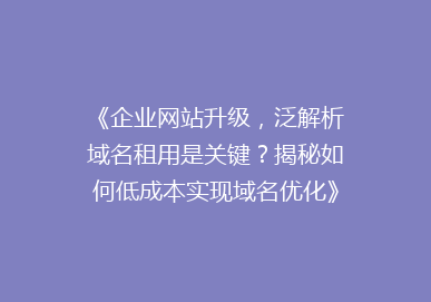 《企业网站升级，泛解析域名租用是关键？揭秘如何低成本实现域名优化》