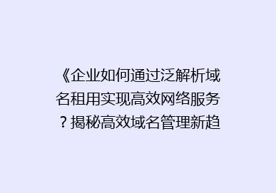 《企业如何通过泛解析域名租用实现高效网络服务？揭秘高效域名管理新趋势》