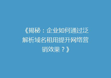 《揭秘：企业如何通过泛解析域名租用提升网络营销效果？》