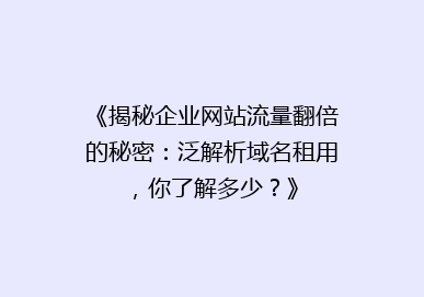 《揭秘企业网站流量翻倍的秘密：泛解析域名租用，你了解多少？》
