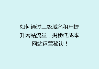 如何通过二级域名租用提升网站流量，揭秘低成本网站运营秘诀！