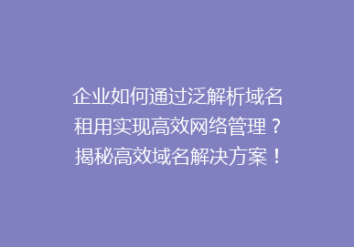 企业如何通过泛解析域名租用实现高效网络管理？揭秘高效域名解决方案！