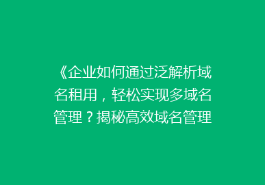 《企业如何通过泛解析域名租用，轻松实现多域名管理？揭秘高效域名管理新策略》