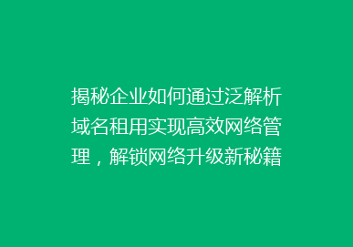 揭秘企业如何通过泛解析域名租用实现高效网络管理，解锁网络升级新秘籍！