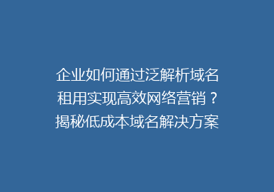 企业如何通过泛解析域名租用实现高效网络营销？揭秘低成本域名解决方案！