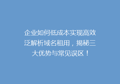 企业如何低成本实现高效泛解析域名租用，揭秘三大优势与常见误区！