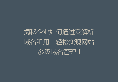 揭秘企业如何通过泛解析域名租用，轻松实现网站多级域名管理！