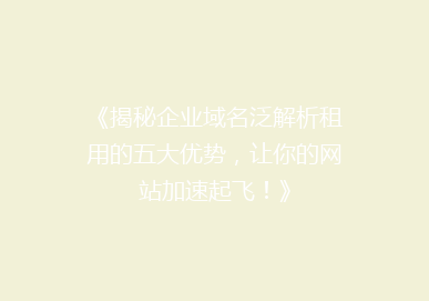 《揭秘企业域名泛解析租用的五大优势，让你的网站加速起飞！》