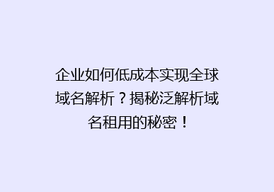 企业如何低成本实现全球域名解析？揭秘泛解析域名租用的秘密！