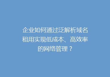 企业如何通过泛解析域名租用实现低成本、高效率的网络管理？