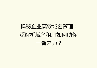 揭秘企业高效域名管理：泛解析域名租用如何助你一臂之力？