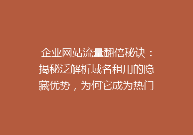 企业网站流量翻倍秘诀：揭秘泛解析域名租用的隐藏优势，为何它成为热门选择？