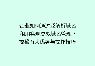 企业如何通过泛解析域名租用实现高效域名管理？揭秘五大优势与操作技巧！