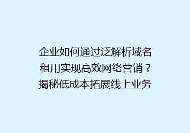 企业如何通过泛解析域名租用实现高效网络营销？揭秘低成本拓展线上业务新策略！