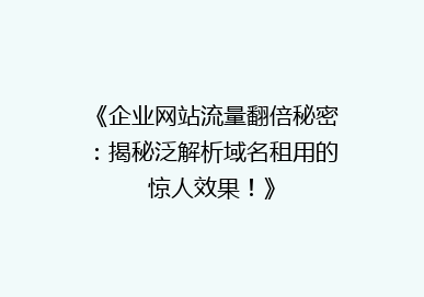 《企业网站流量翻倍秘密：揭秘泛解析域名租用的惊人效果！》