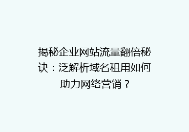 揭秘企业网站流量翻倍秘诀：泛解析域名租用如何助力网络营销？